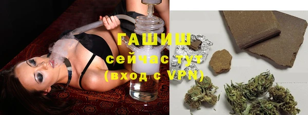 мдпв Михайлов