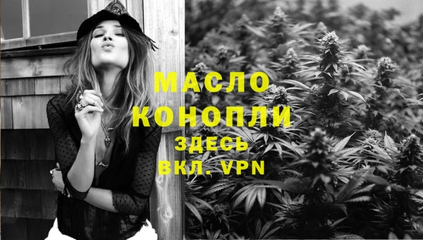 мдпв Михайлов