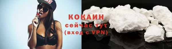мдпв Михайлов