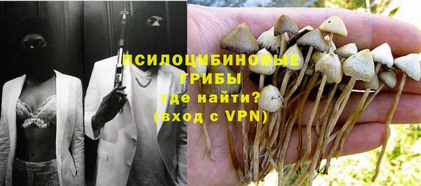 мдпв Михайлов