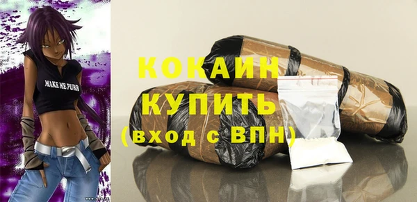 мдпв Михайлов