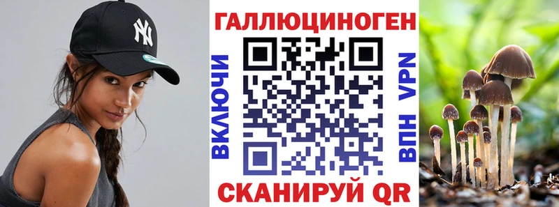 Псилоцибиновые грибы Cubensis  сколько стоит  Челябинск 