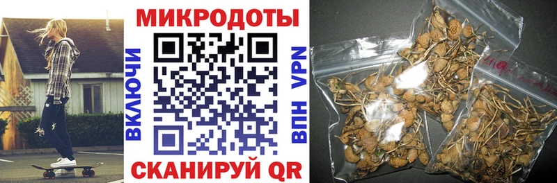 Псилоцибиновые грибы Psilocybine cubensis Челябинск